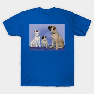 Harry, George & Freda T-Shirt